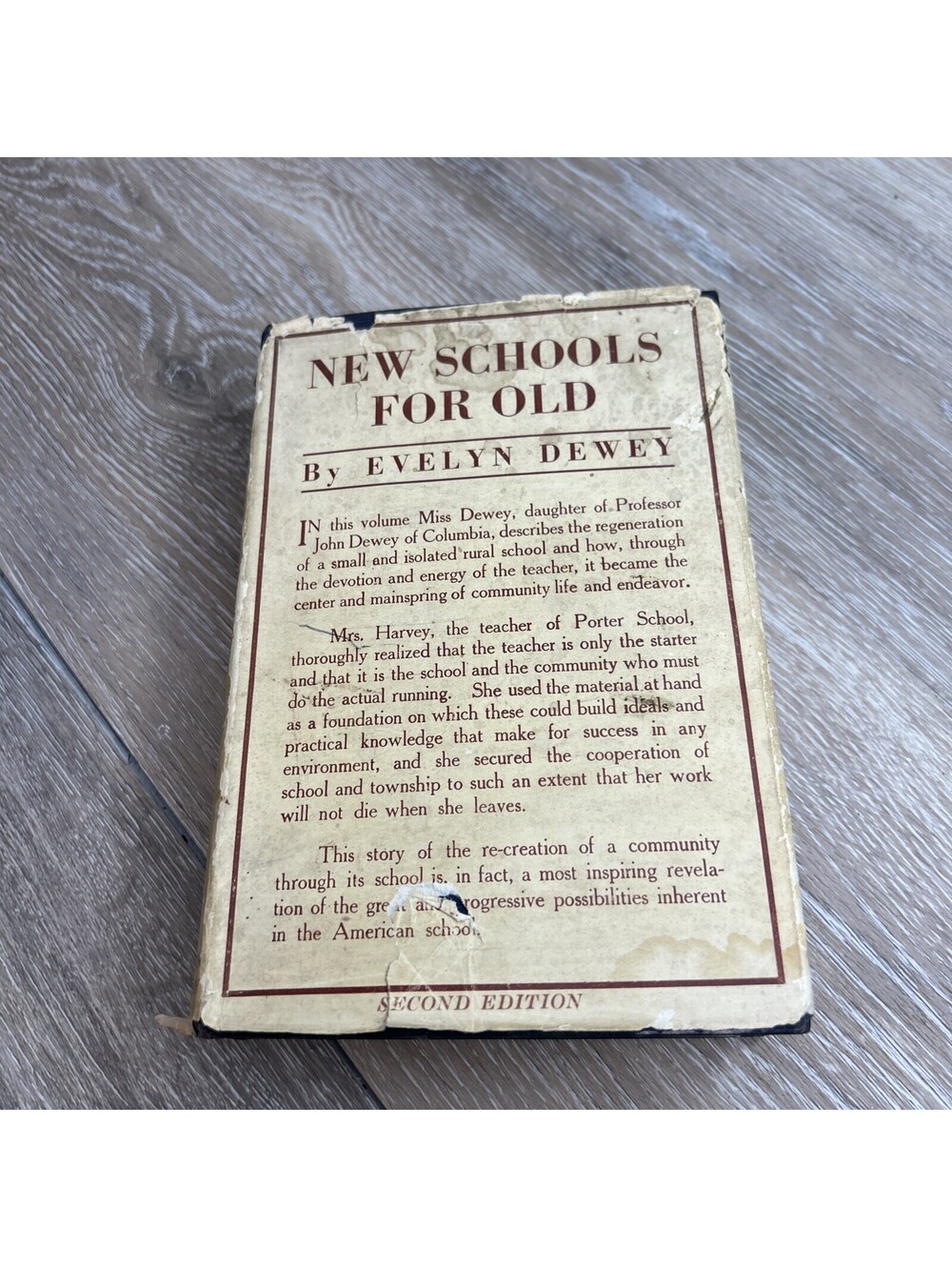 New Schools for Old: The Regeneration of the Porter School by Evelyn Dewey 1920